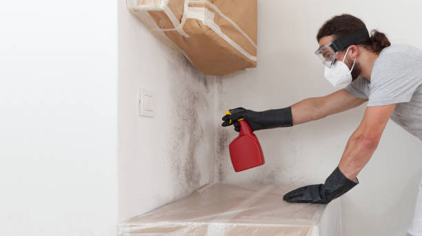 Professional Bathroom Mold Removal technician working in Baldwin, FL